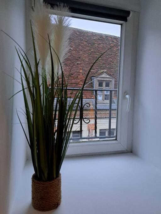 Confortable Studio Renove Cambrai Zewnętrze zdjęcie